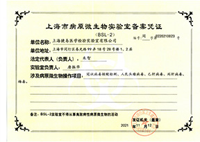 奔驰宝马游戏大厅